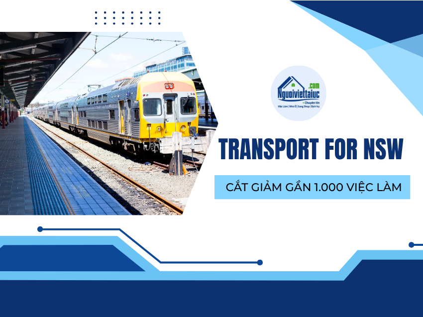 Gần 1000 việc làm sẽ bị cắt giảm tại Transport for NSW